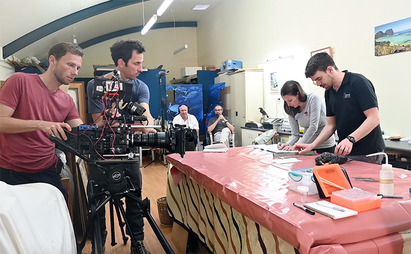 ZDF film crew document the research