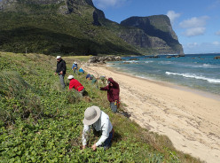Friends of Lord Howe Island Weeding ecotour August 2018