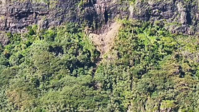 235mm of rain in May. That’s all it took. The towering rock cliffs above Little Slope reached their limit - and came down hard, smashing through the forest at the head of the creek gully. Nature writing its own story, whether we’re ready or not. #lordhoweisland #geology #nature #storm #rockfall