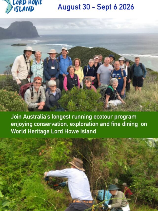 If you want to experience the wonders of Lord Howe Island and contribute on your holiday join a Friends of Lord Howe Island Ecotour this August #lordhoweisland #ecotourism #worldheritage #visitlordhoweisland #conservation @lordhowe-tours.com.au