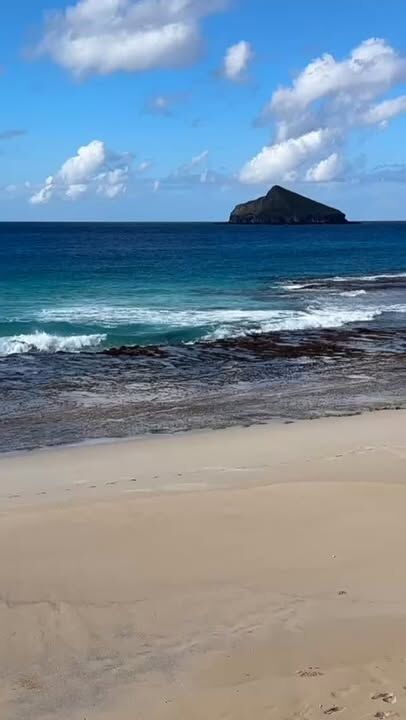 Winter sunshine and new moon low tides perfect for exploring the beaches and rock pools #lordhoweisland #lordhoweislandtourism #beachesofinstagram #lowtide #landscape