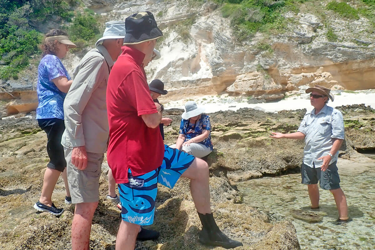 One of the most popular walks is the low tide walk exploring the rockpools to discover the marine life