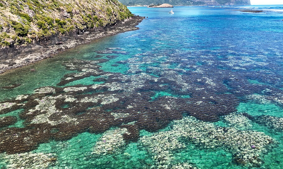 North Bay - coral bleaching